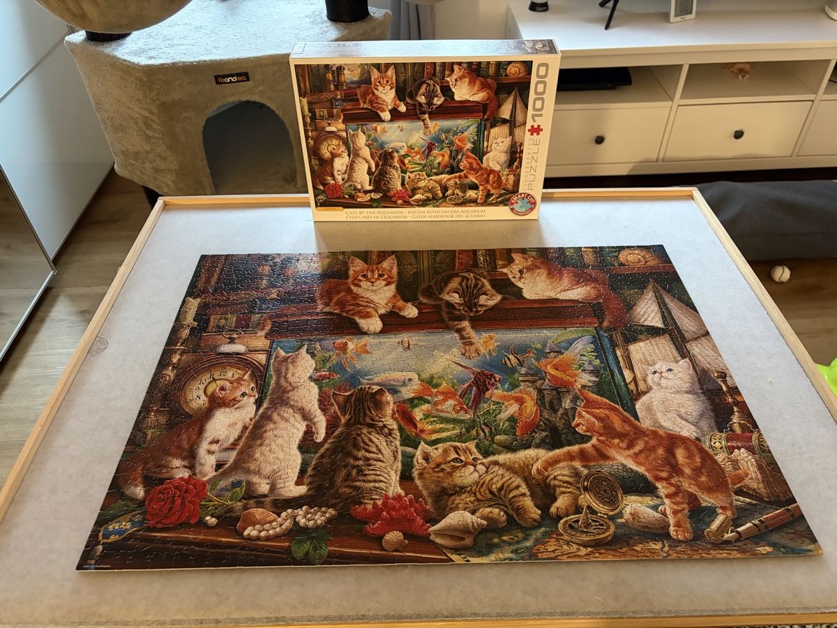 Puzzles: Puzzle Katzen 1000 Teile – Gebraucht aus Laupersdorf von eliza23