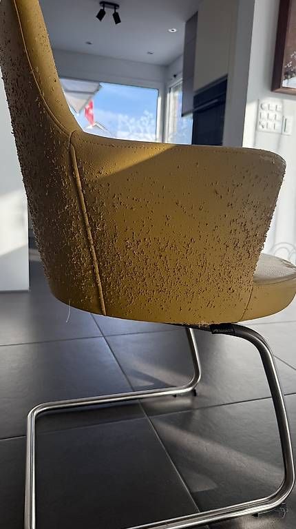 Sedie: Venjakob dreh/wippstuhl  – Usato da Triengen venduto da Mnessi 3