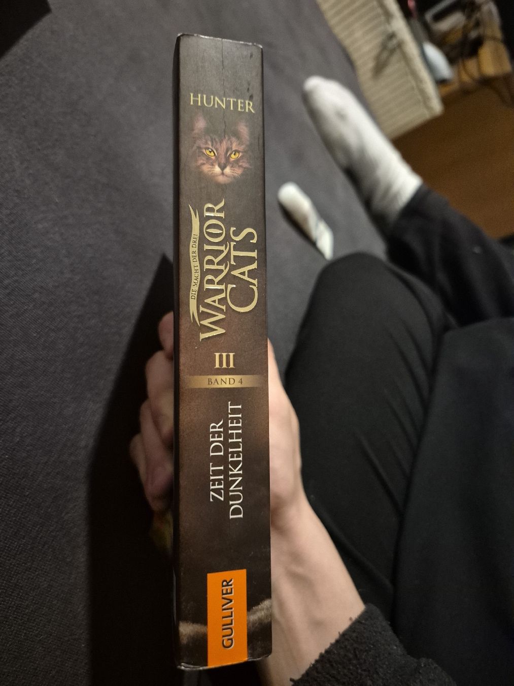 Libri: Warrior Cats - Zeit der Dunkelheit – Usato da Nürensdorf venduto da luc_9ksf 1