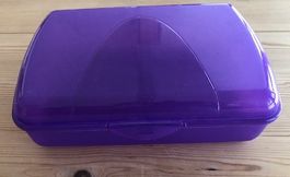 Boîte à Lunch Violette - Idéale pour l'école! Neuve.
