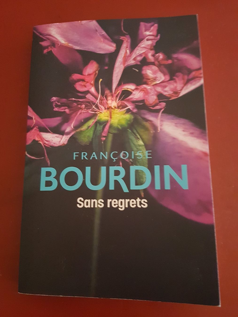 Libri: Sans regrets – Nuovo (secondo la descrizione) da Porrentruy venduto da Piquetix