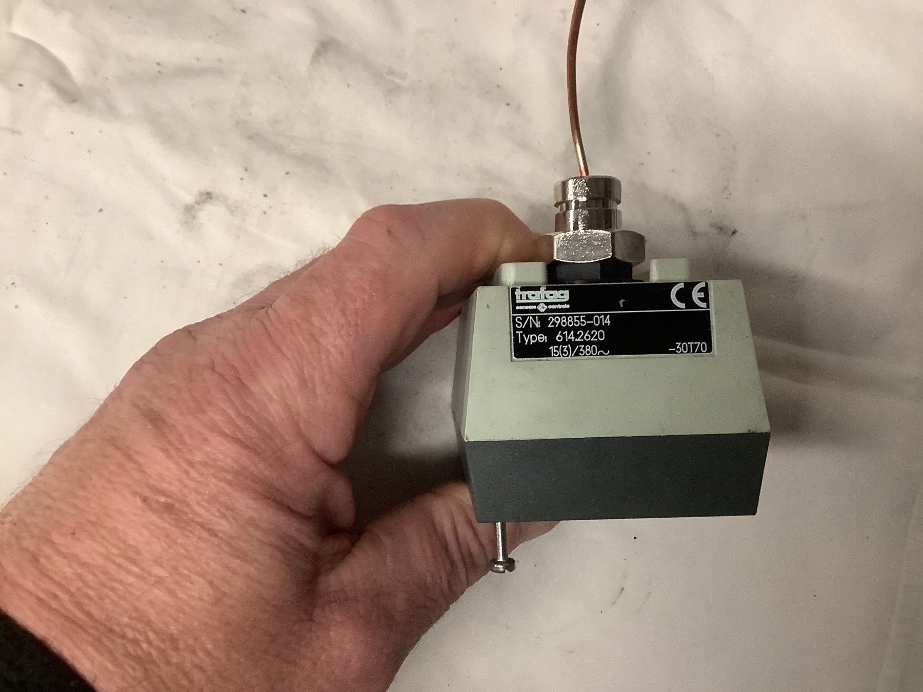 Altro in Utensili da giardino: THERMOSTAT TRAFAG – Usato da Glarus venduto da Mdelphi 3