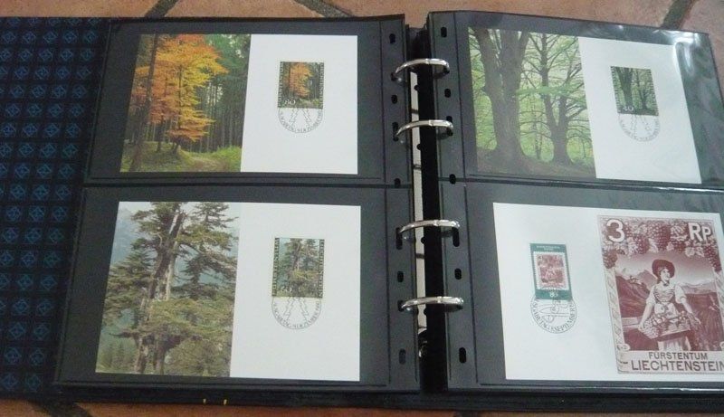 Tutti i francobolli: Album mit FL-Briefmarken und Ansichtskarten – Usato da Ruggell venduto da Dolce9 5