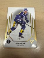 Dario Meier Gold 08/10 Sportzoo Serie Playoff