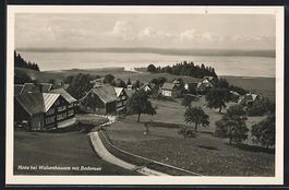 Walzenhausen, Moos mit Blick zum Bodense