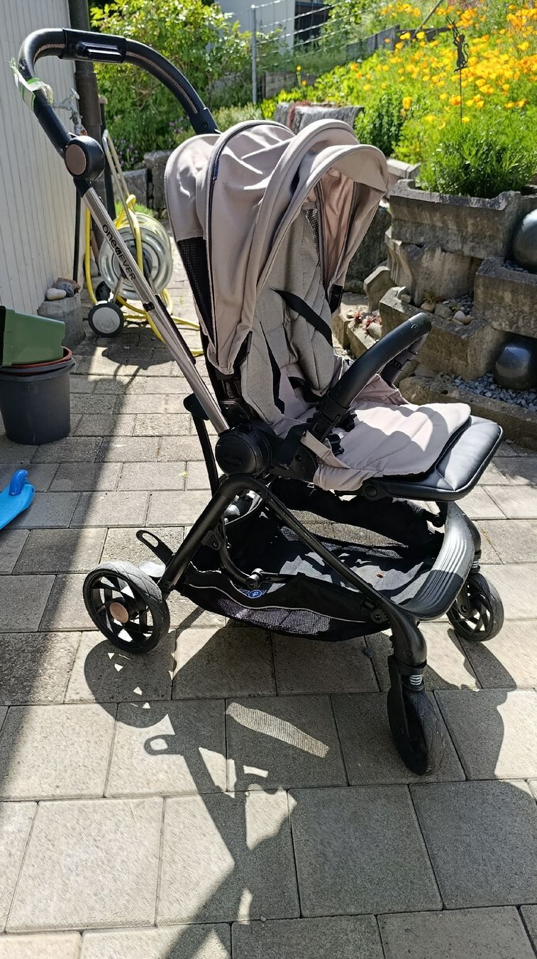 Chicco Carrozzine: Chicco One4Ever Stroller – Usato da Knonau venduto da acc_x8dk 2
