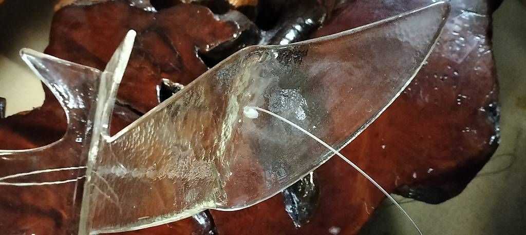Bicchieri: Möwe von der Robert Niederer Glasi Hergiswil  – Usato da Steinach venduto da Tsgweh 4