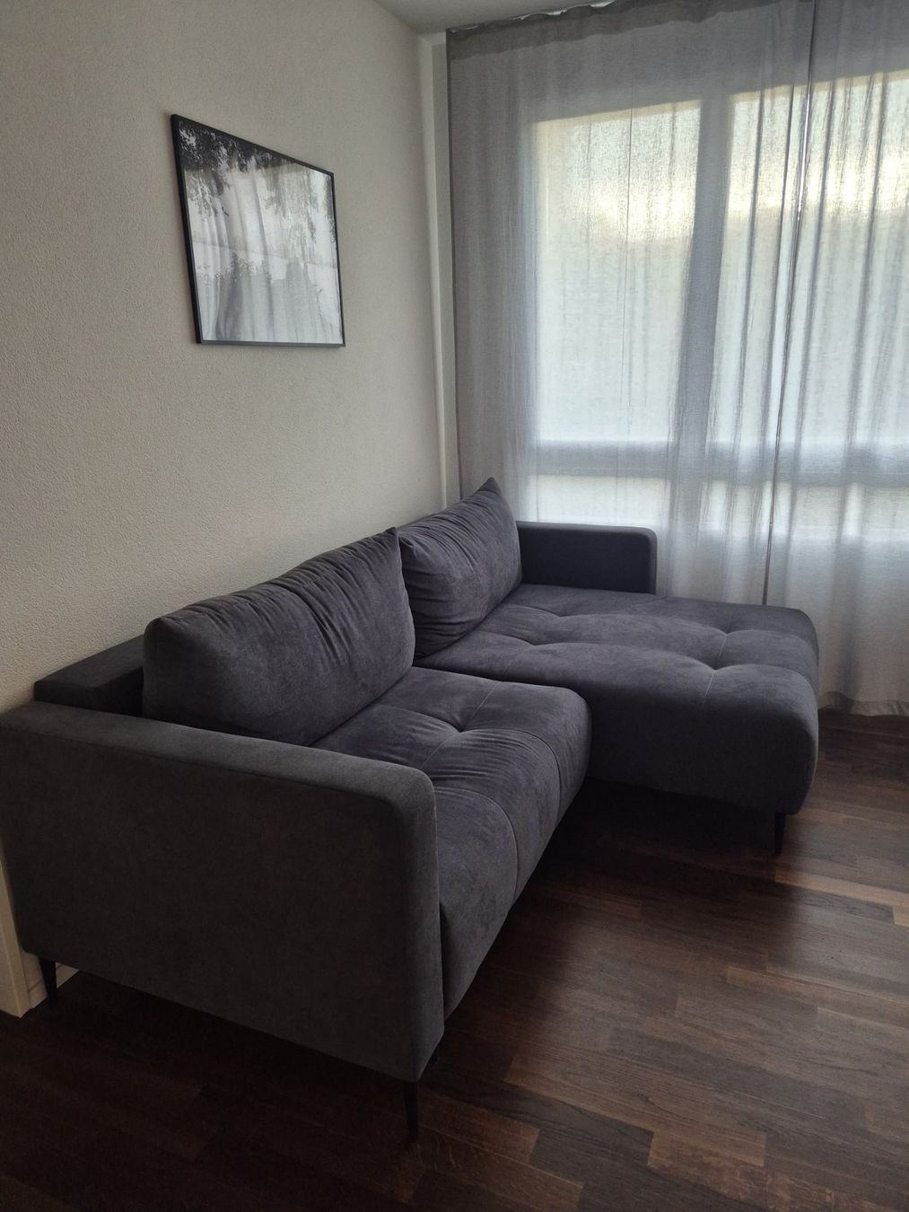 Divani: Bettsofa – Usato da Zunzgen venduto da Flipflap02 1