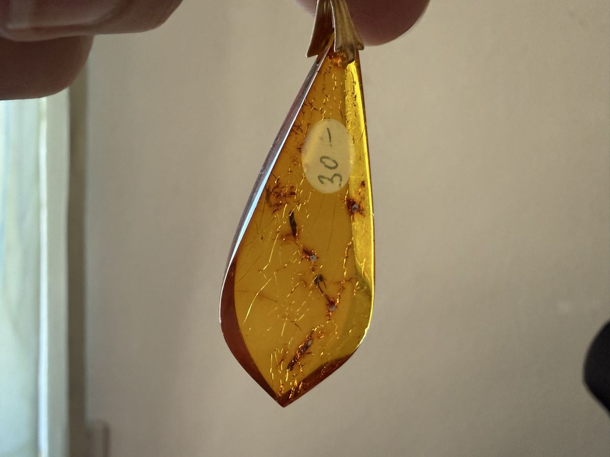 Ciondoli: Bernsteinanhänger mit Einschlüssen 3.6g – Nuovo (secondo la descrizione) da Lamone venduto da LaCantinaMagica 2