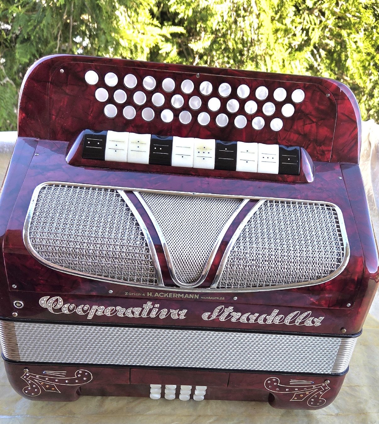 Strumenti musicali: concertina cooperativa stradella – Usato da Penthalaz venduto da EvandroLuz