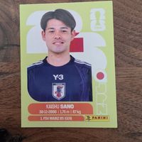 Panini JPN8 Kaishu Sano 