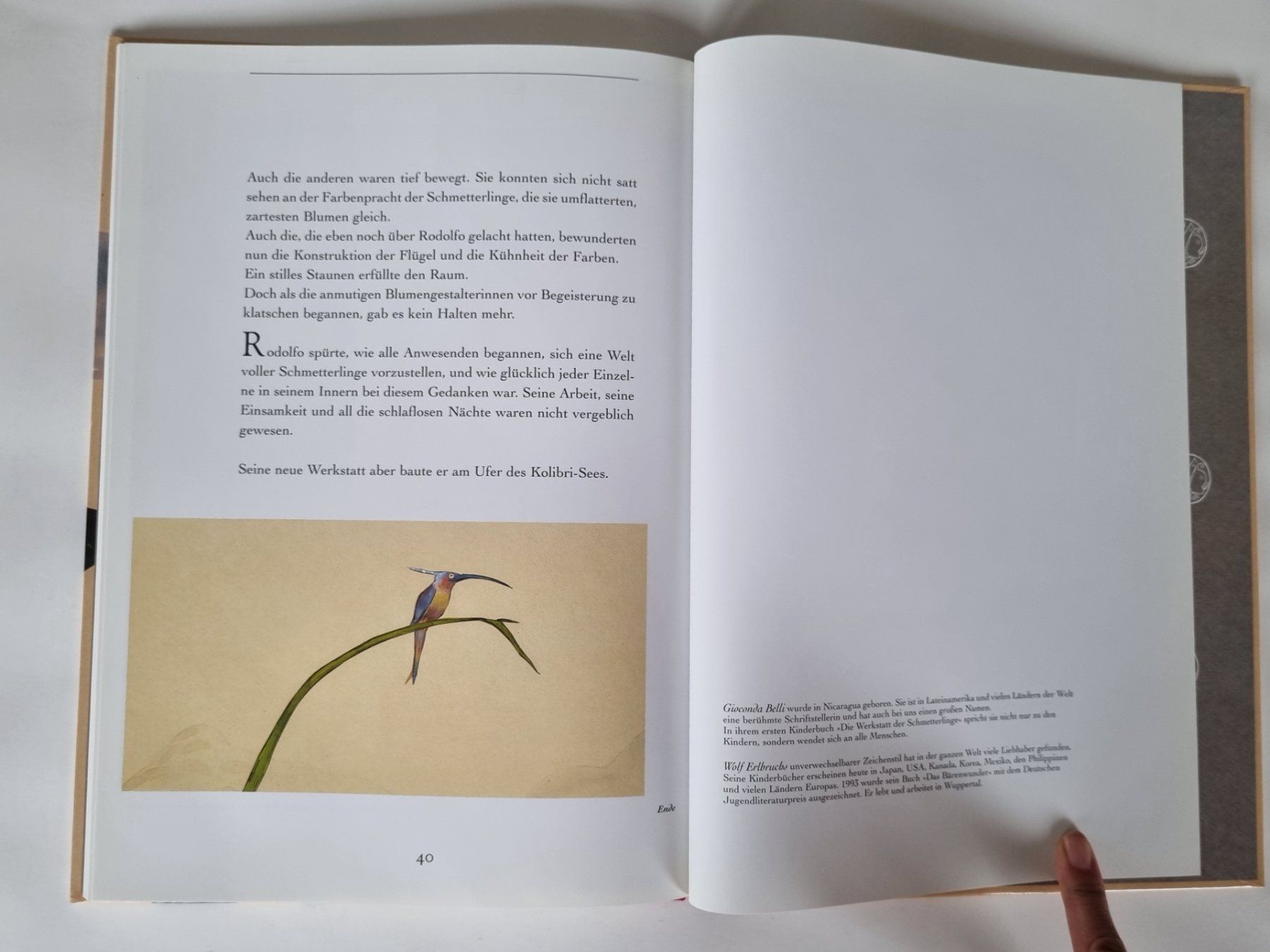 Libri: Schmetterlings-Werkstatt - Ein wunderschönes Kinderbuch – Usato da Opfikon venduto da Diversamente 9