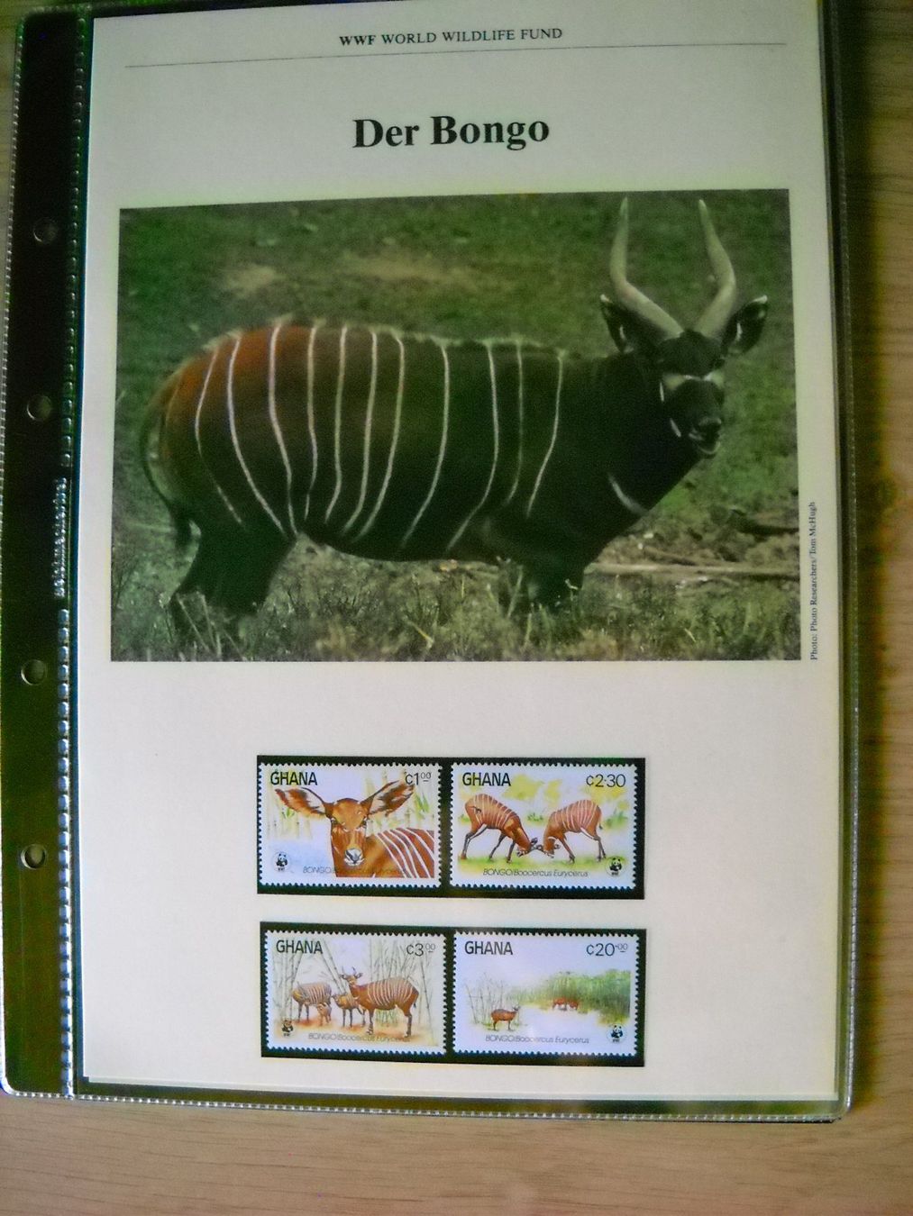 Tutti i francobolli: WWF Der Bongo Sammlung Seite mit Briefmarken – Nuovo (secondo la descrizione) da Boningen venduto da FrediP