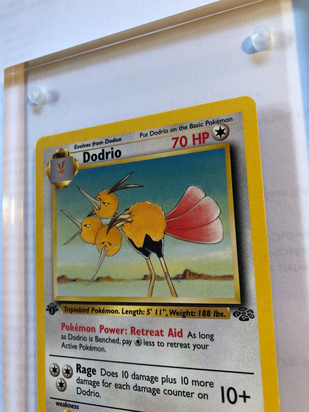 Cartes à collectionner: Dodrio (uncommon) 1st Jungle - MINT - ab 1.- – D'occasion à Giubiasco par dan_pr8b 3