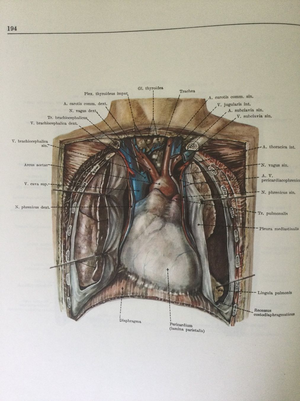 Bücher: Anatomischer Atlas des Menschen, 3 Bände – Gebraucht aus St. Gallen von Lila_238 3