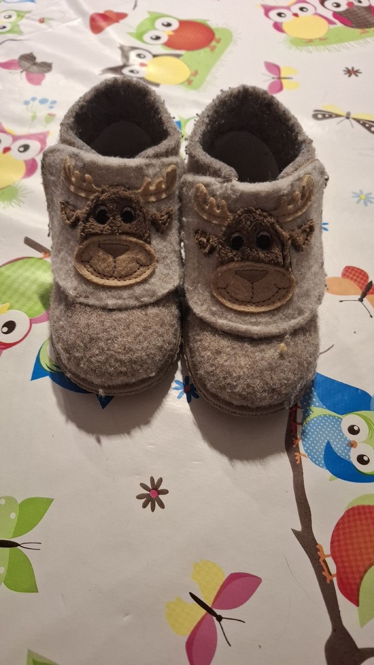 Elefanten Scarpe per ragazzi: Elch-Hausschuh Gr. 21 Filz – Usato da Schnottwil venduto da Cici89 2