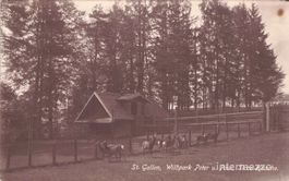 St. Gallen // 1922 Wildpark Peter und Paul