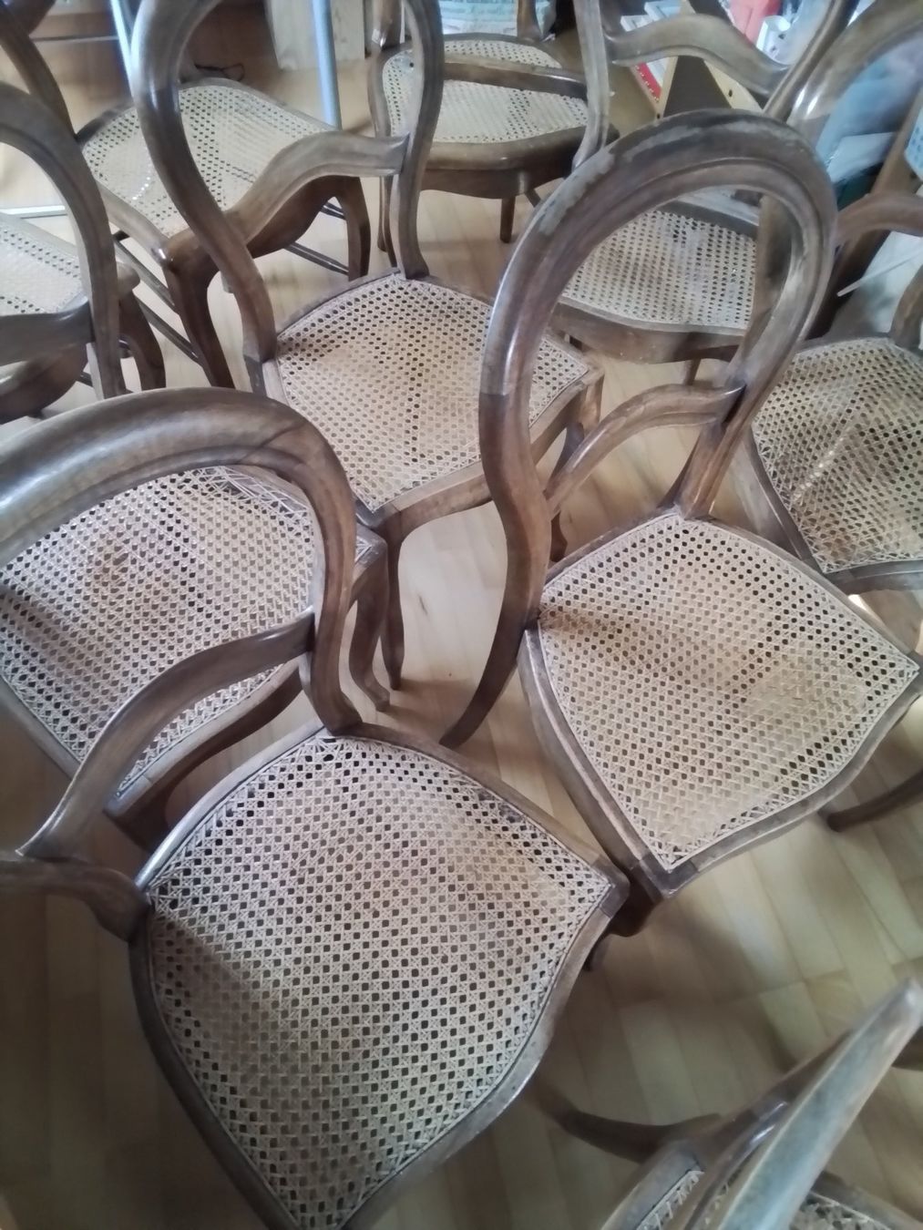 Sedie: 12 chaises canée – Difettoso da Etagnières venduto da Salka 1