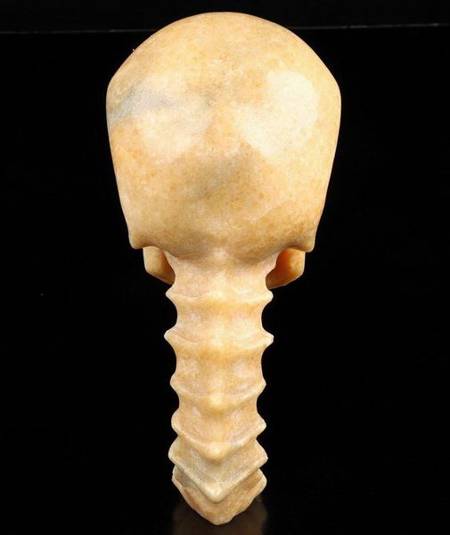 Minerali & Pietre curative: Orange Aventurin Skull Sculptur – Nuovo (secondo la descrizione) da Walenstadt venduto da vkt_qc8d 3