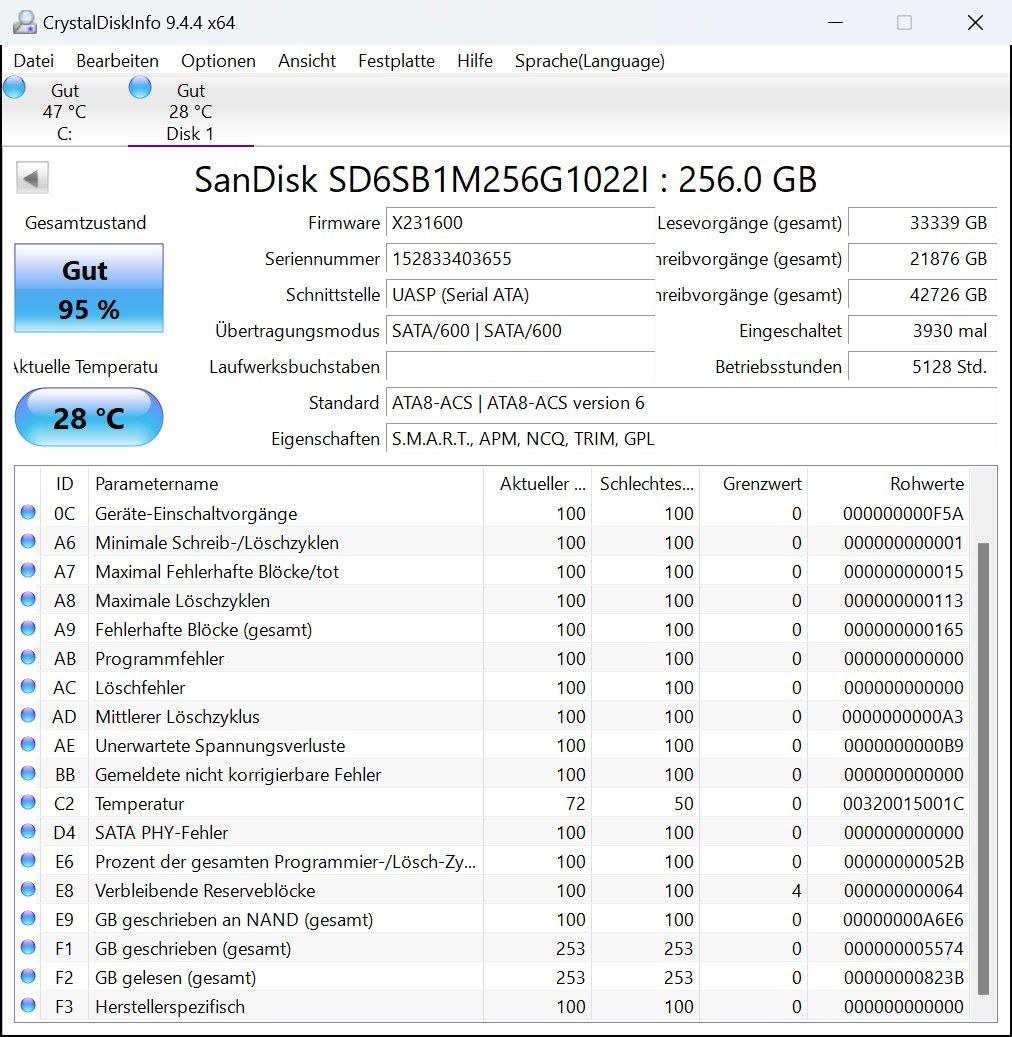 Sandisk Dischi rigidi: ScanDisk X110 SSD 256GB – Usato da Zürich venduto da HarlacherIT 3