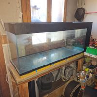 Aquarium. !!!! Ab 1Fr !!!!