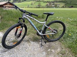 Mountainbike Specialized Gr. S