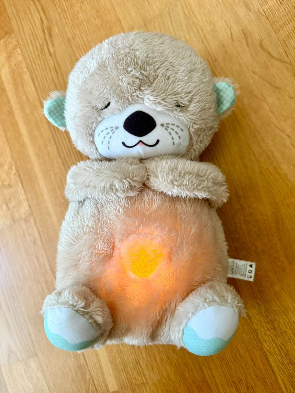 Fisher-Price Giocattoli: Fisher-Price Snooze Otter – Usato da Windisch venduto da mmyslfmmyslf 1