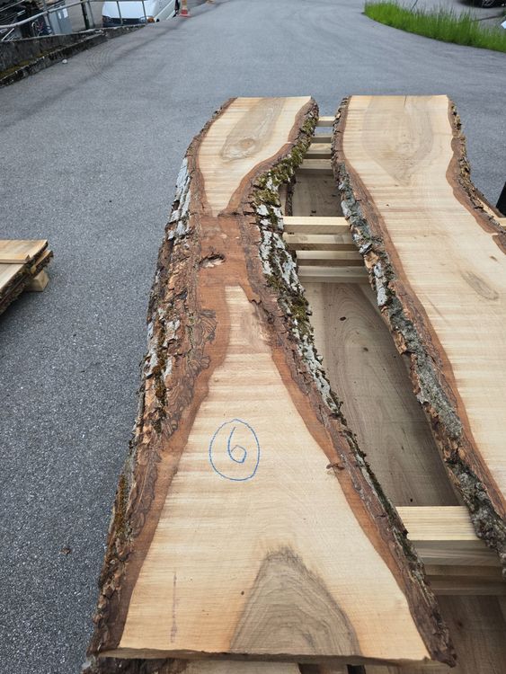Articoli in legno: Nussbaumbrett Nr 6 – Nuovo (secondo la descrizione) da Lützelflüh-Goldb venduto da ch.waelchli-holz.ch 1