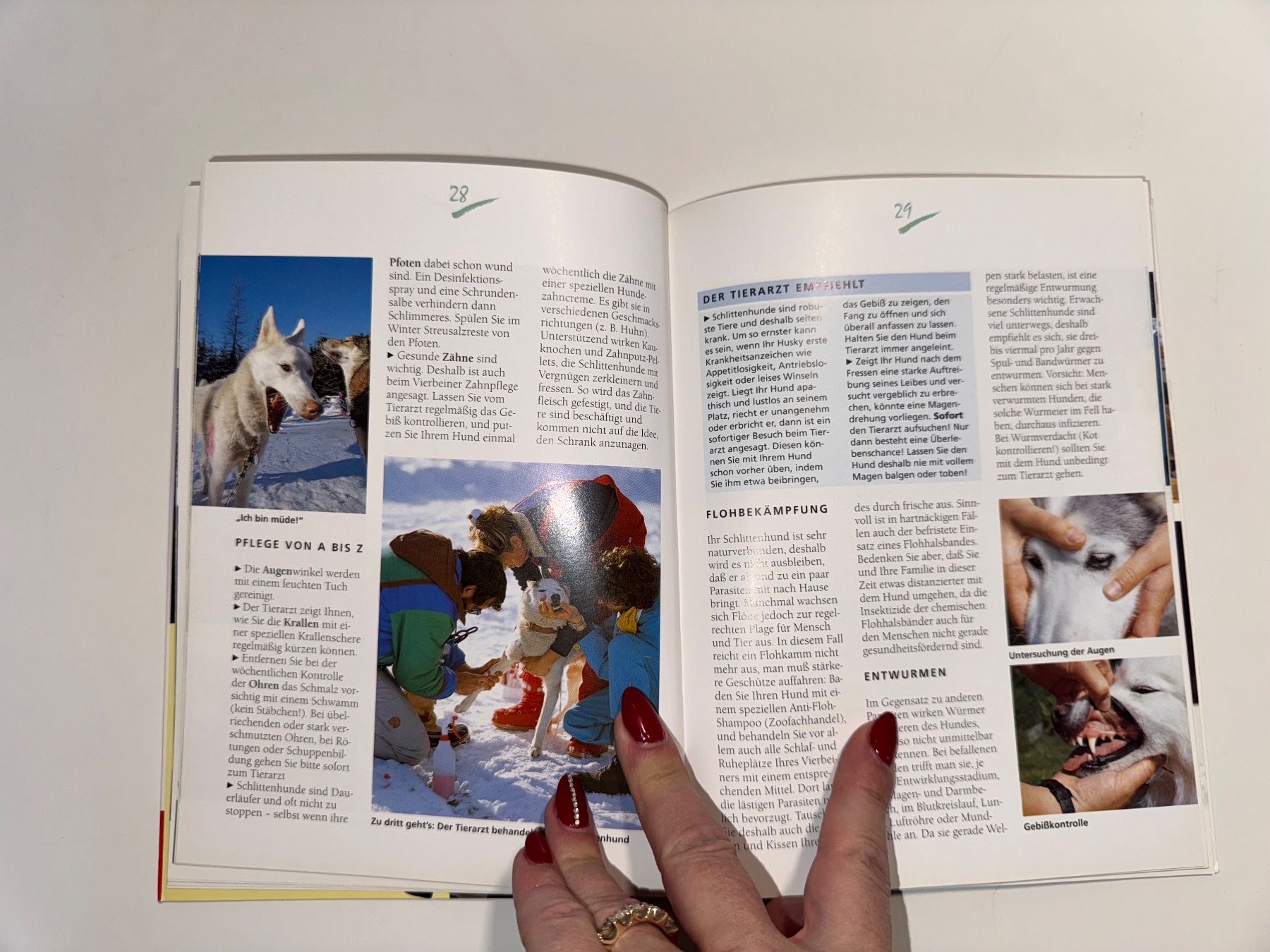 Libri: BUCH: Schlittenhunde – Usato da Grosswangen venduto da Second_hand_paradise 3
