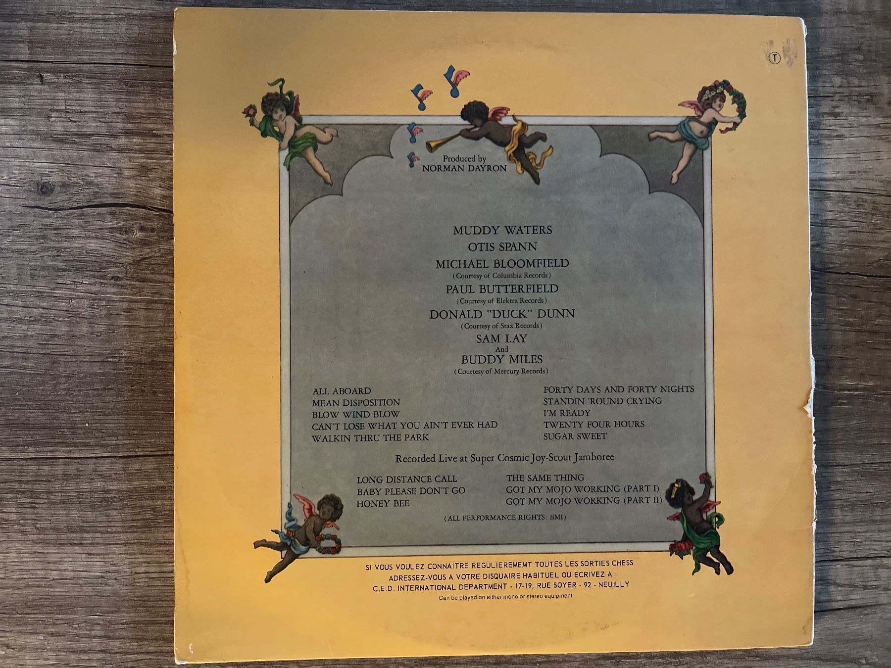 Dischi in vinile: S1516/Muddy Waters - Fathers and Sons – Usato da Frutigen venduto da Philippe_jsp 1