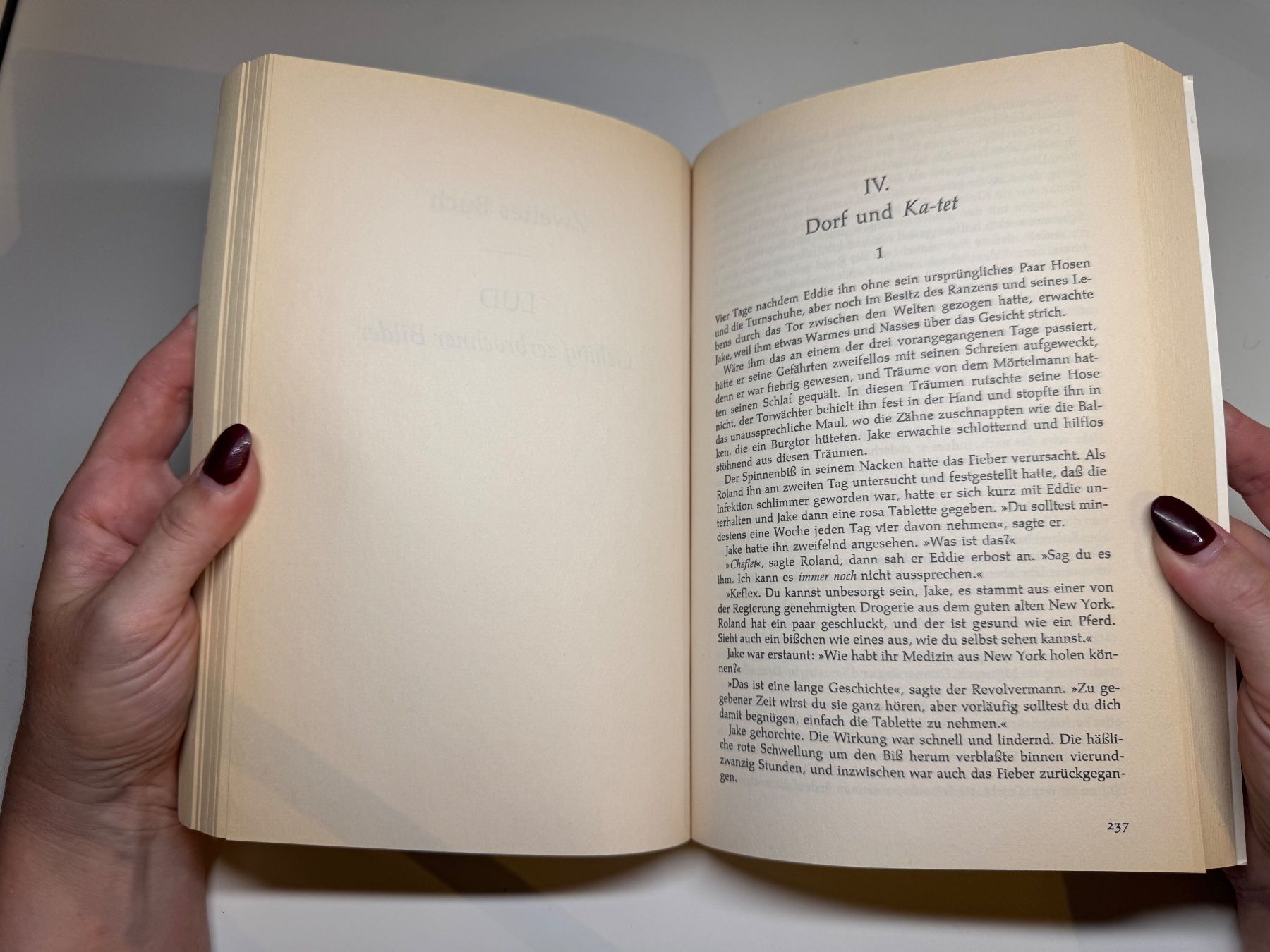 Libri: ROMAN: Stephen King, Tot. – Usato da Grosswangen venduto da Deutsche_Romane 5
