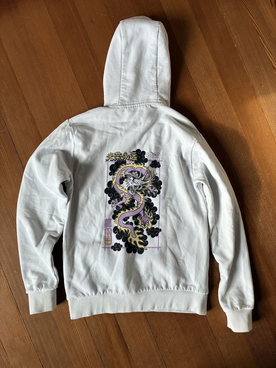 Snipes Maglioni & Felpe: Hoodie Snipes Gr. S – Usato da Biberist venduto da wacholder