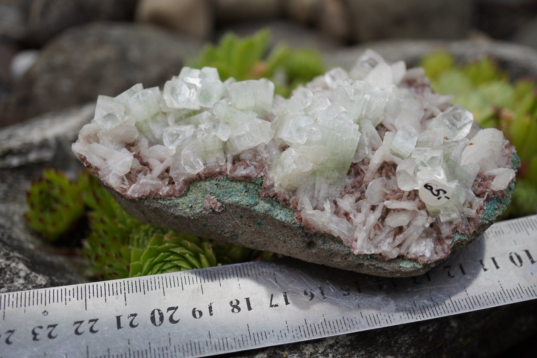 Minerali & Pietre curative: grünem Apophyllit top Stufe      Topstone  ab  15.- – Nuovo e nell'imballaggio originale da Eschenbach SG venduto da topstone 1