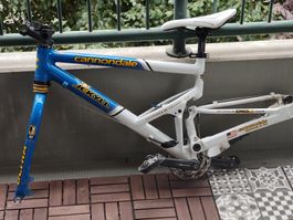 Cannondale Jekyll Rahmen