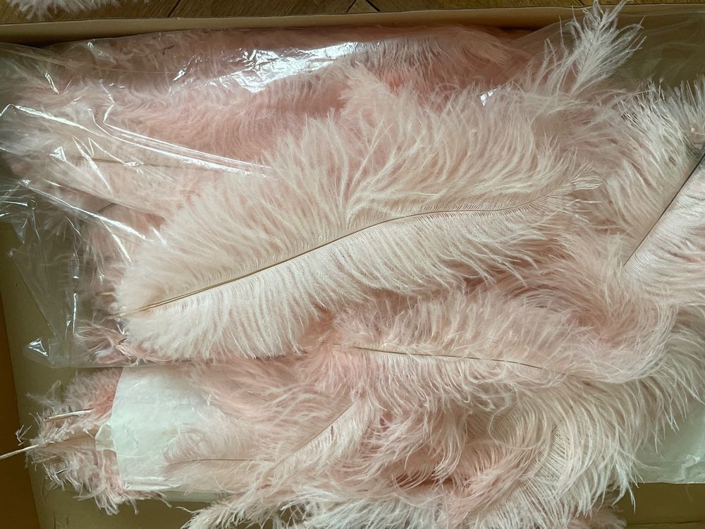 ISAKEN Federstreifen 2M - Naturfedern Für Basteln & Dekoration