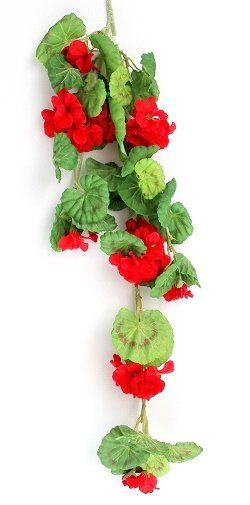 Tutte le decorazioni: Geranium rot – Nuovo (secondo la descrizione) da Schlatt TG venduto da kreativ-atelier