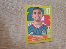 MEX 11