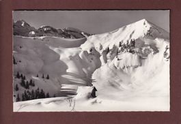 Cabane de PLANACHAUX s. Champéry - Pointe de Ripaille - 1960