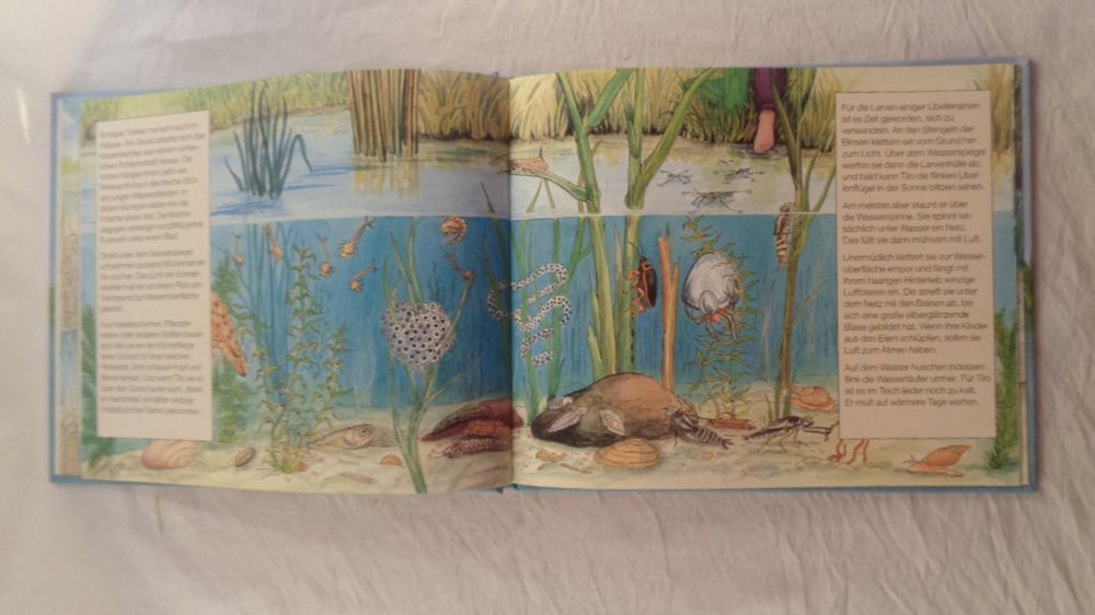 Tiere im und am Teich / Tümpelkinder / SachBilderbuch Kaufen auf Ricardo