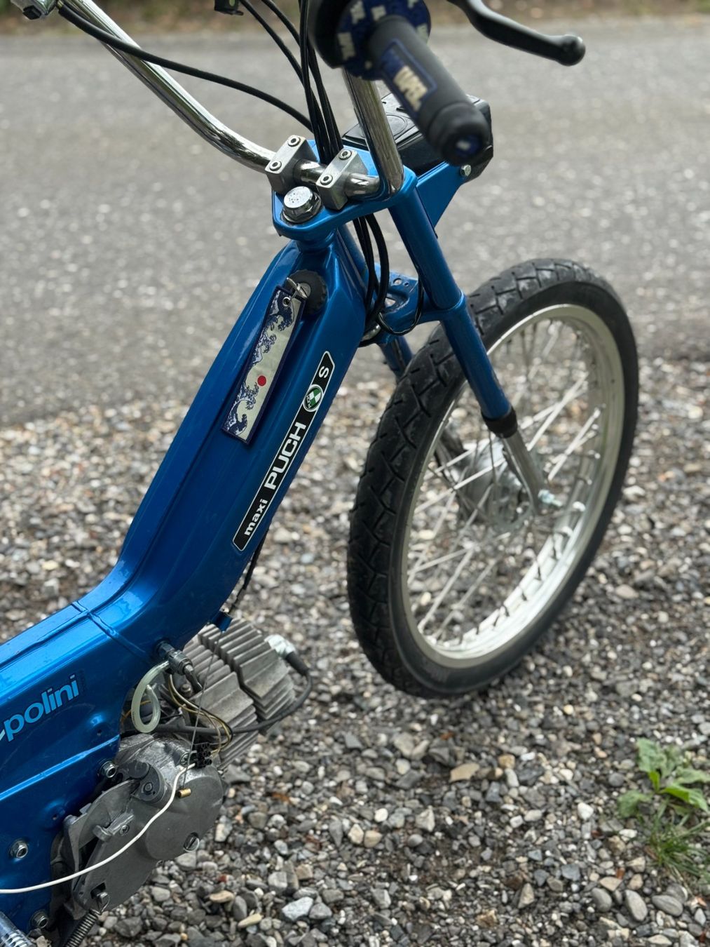 Puch Ciclomotori: Puch Maxi S neu aufgebaut – Usato da Unterägeri venduto da mic_tw6v 5