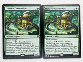 MTG: 2x Llanowar Greenwidow - Dominaria United, Near Mint...
