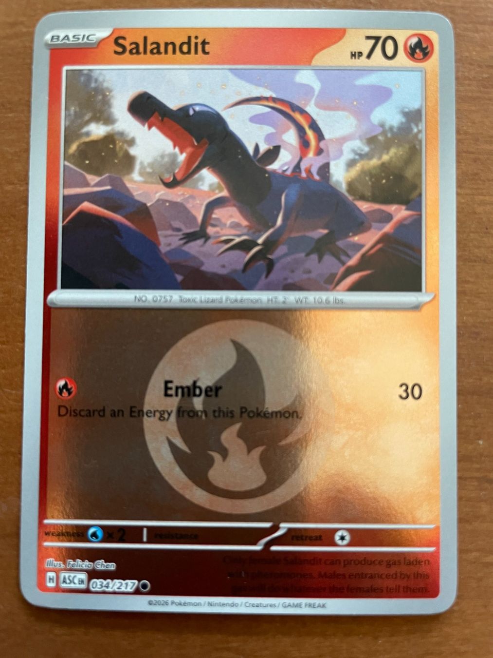 Pokémon Carte collezionabili: Pokemon Salandit Reverse (Versand gratis) – Nuovo (secondo la descrizione) da Chur venduto da Angerson