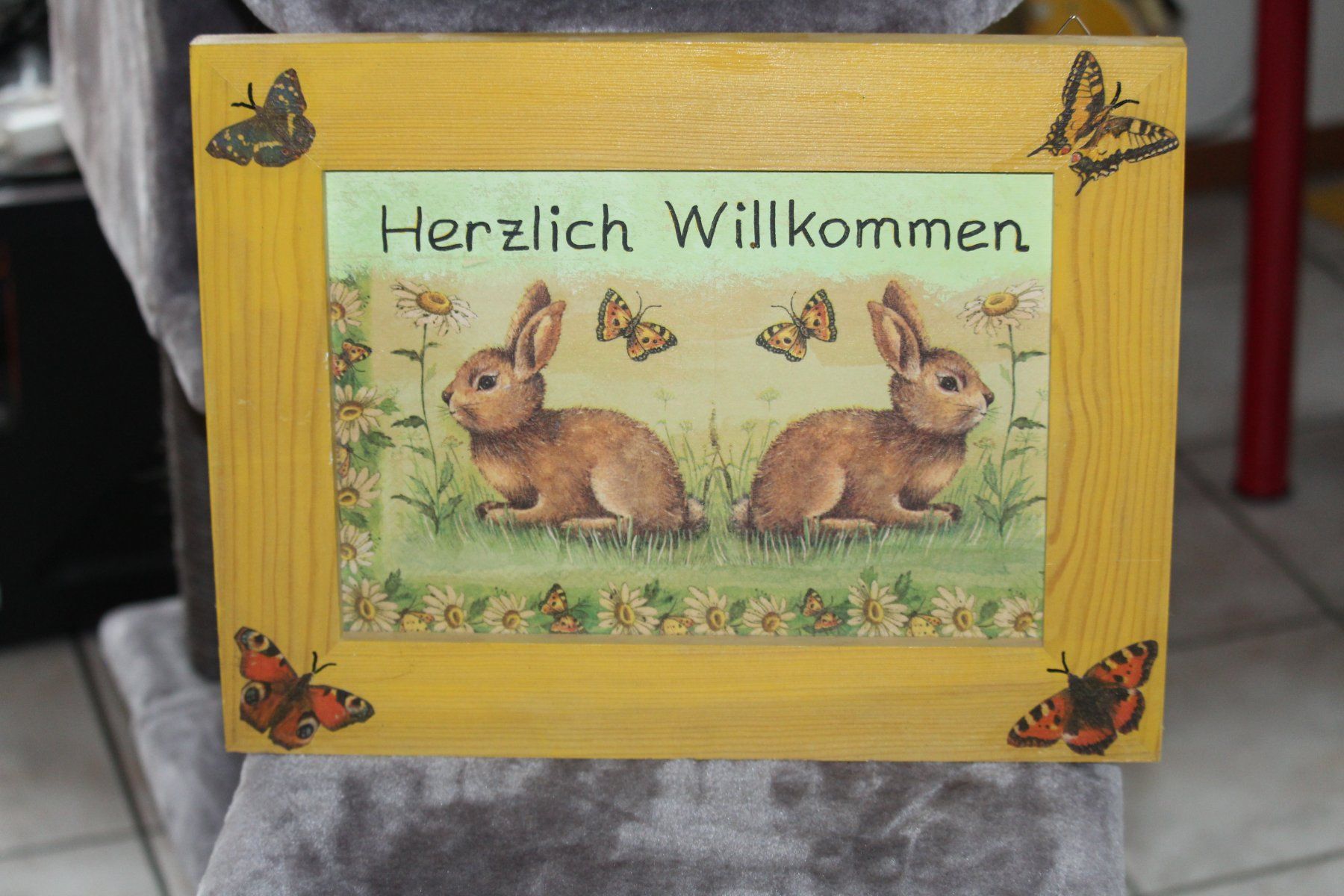 Foto & Immagini: Hase herzlich willkommen – Usato da Grenchen venduto da juebo