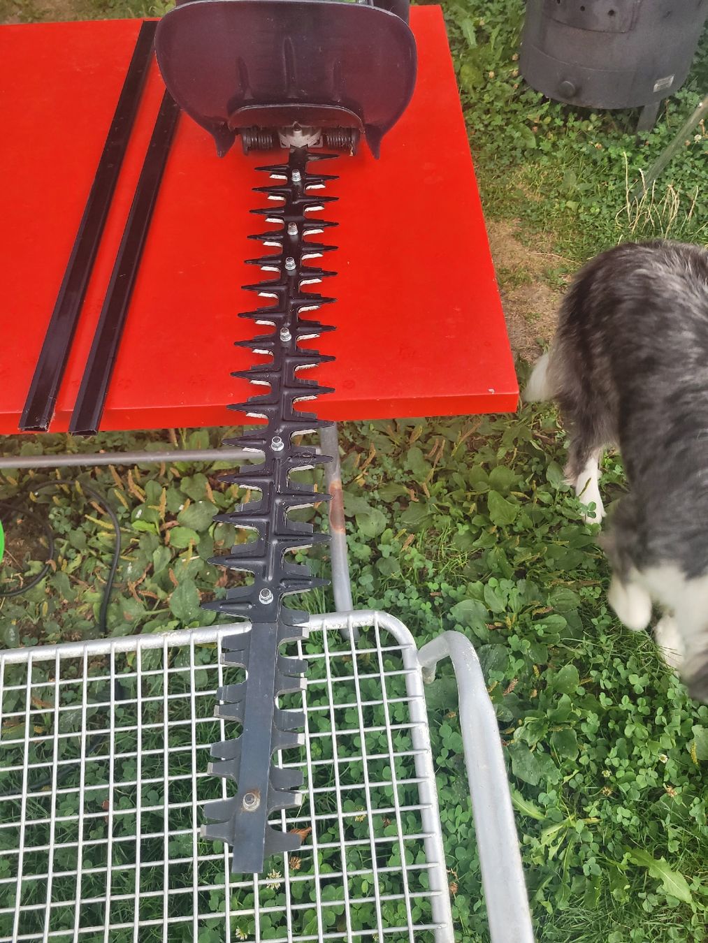 Toutes les machines: Okey Heckenschere Neuwertig gebraucht – D'occasion à Brienz BE par Hundechef 5