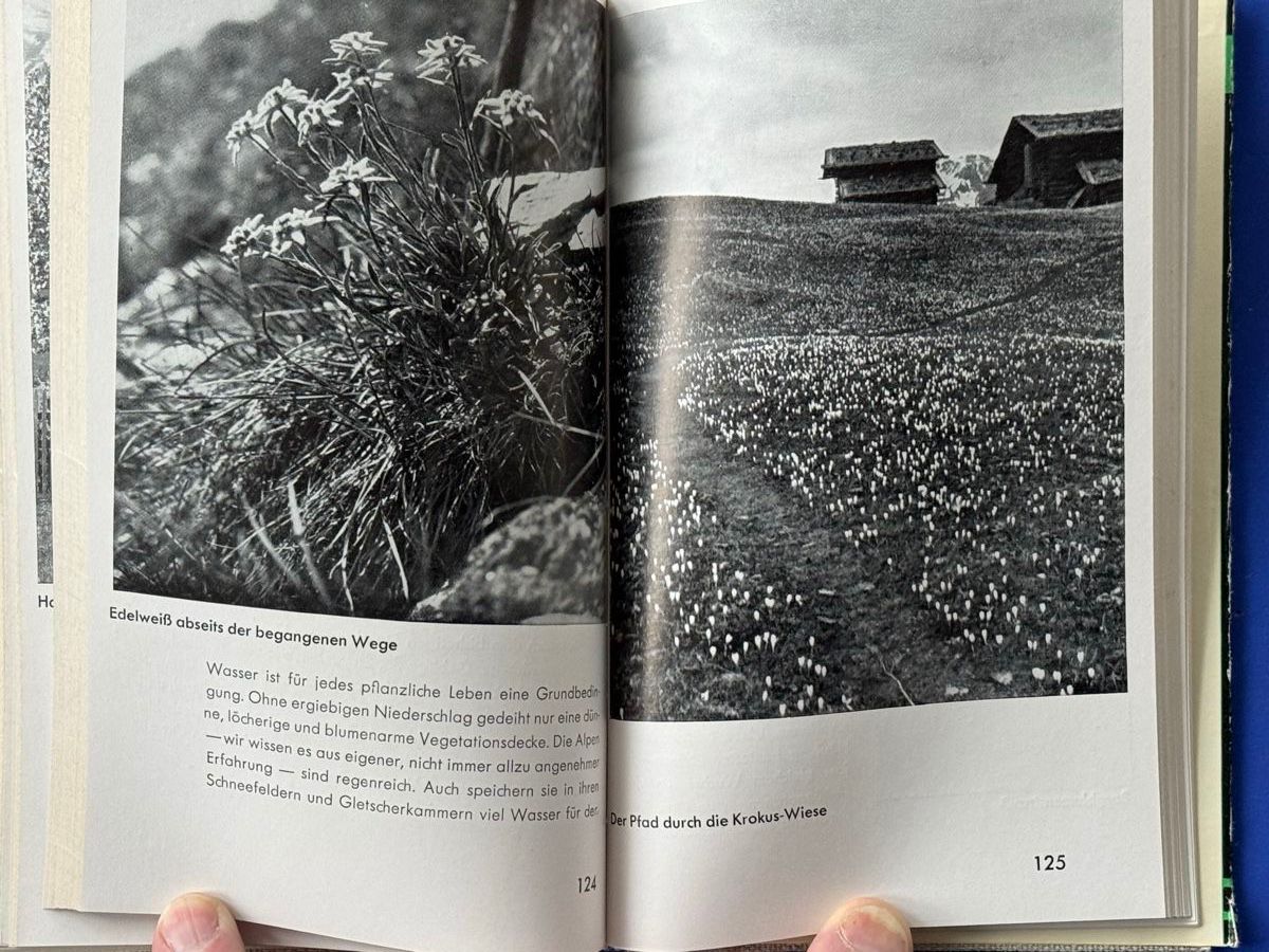 Libri: Hoek: Davos. Ein Berg- und Wanderbuch. 1934 – Usato da Adliswil venduto da buch_und_kunst 4