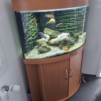 Juwel Eckaquarium 190l
