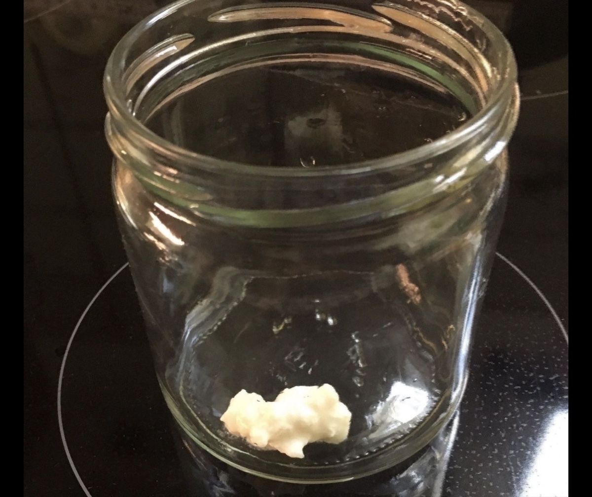 Cibi & Specialità: Kefir Knolle/ Pilz – Nuovo (secondo la descrizione) da Schänis venduto da Ktini 2