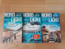 Anette Hinrichs Nordlicht Boisen & Nyborg 1 3 5 Krimi