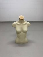 Torso