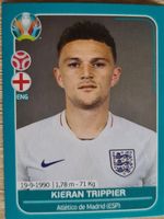 Panini EURO 2020 Preview edition ENG 12